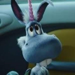 Meet your Posher, Bob